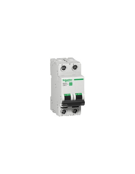 Interruttore automatico Miniatura 2P 25 A Curva D