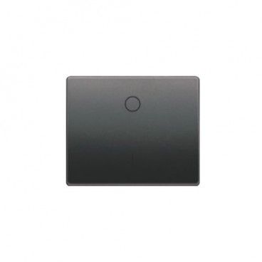 Tecla interruptor bipolar antracita cosso BJC 22708-AC