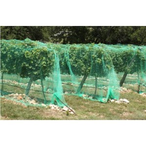 Filet anti-oiseaux 4x5mts idéales d'arbres fruitiers
