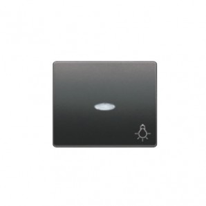 Tecla pulsador luz antracita cosso BJC 22717-ACL