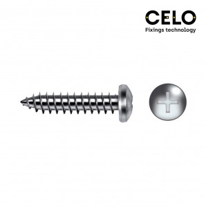 Caixa com 250 Parafusos PHILIPS Pan Pan Chapa Din/Ref 7981 5,5x25mm Zincado - Celo